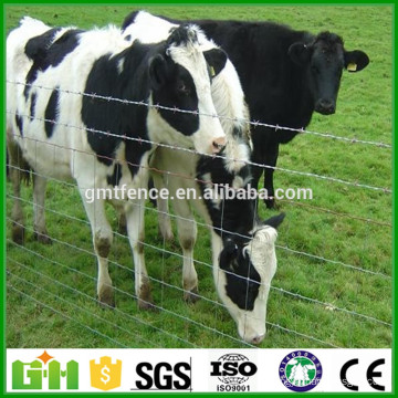 Usine d&#39;approvisionnement Cercle de prairie / bétail Clôture de grillage / clôture de terrain